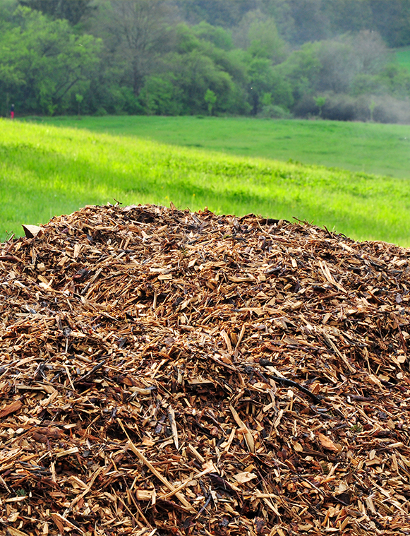 Biomass & waste-to-energy