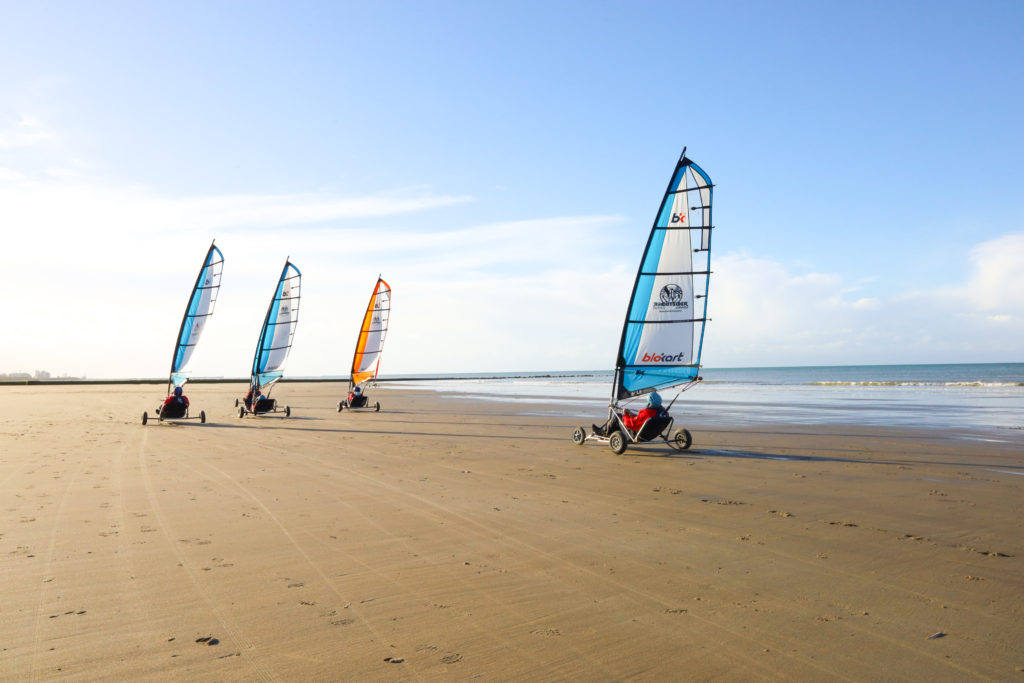 Teambuilding activity at the Belgian Coast with the SPG Dry Cooling Team